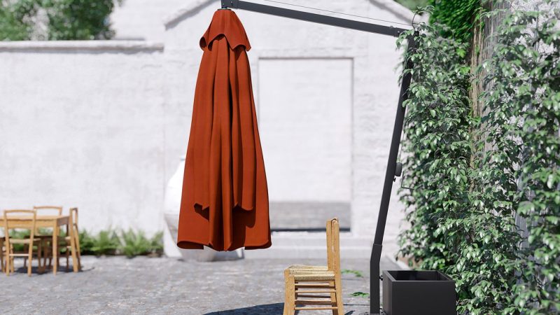 Venere - immagine 4