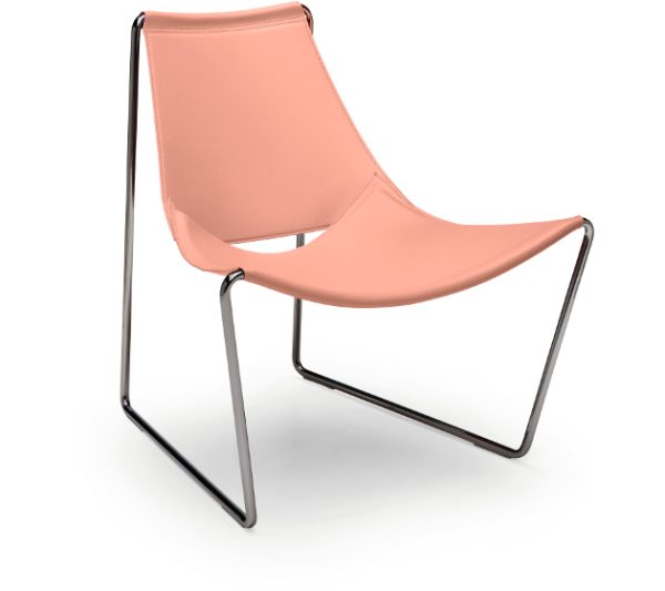 Apelle AT