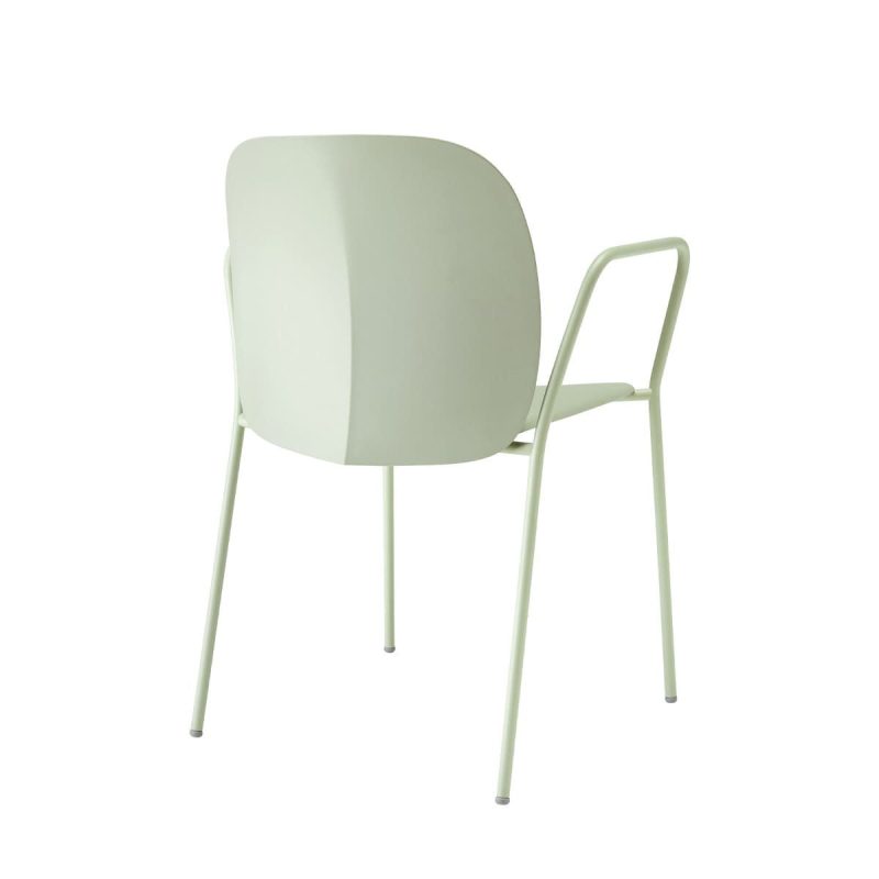mentha - immagine 3